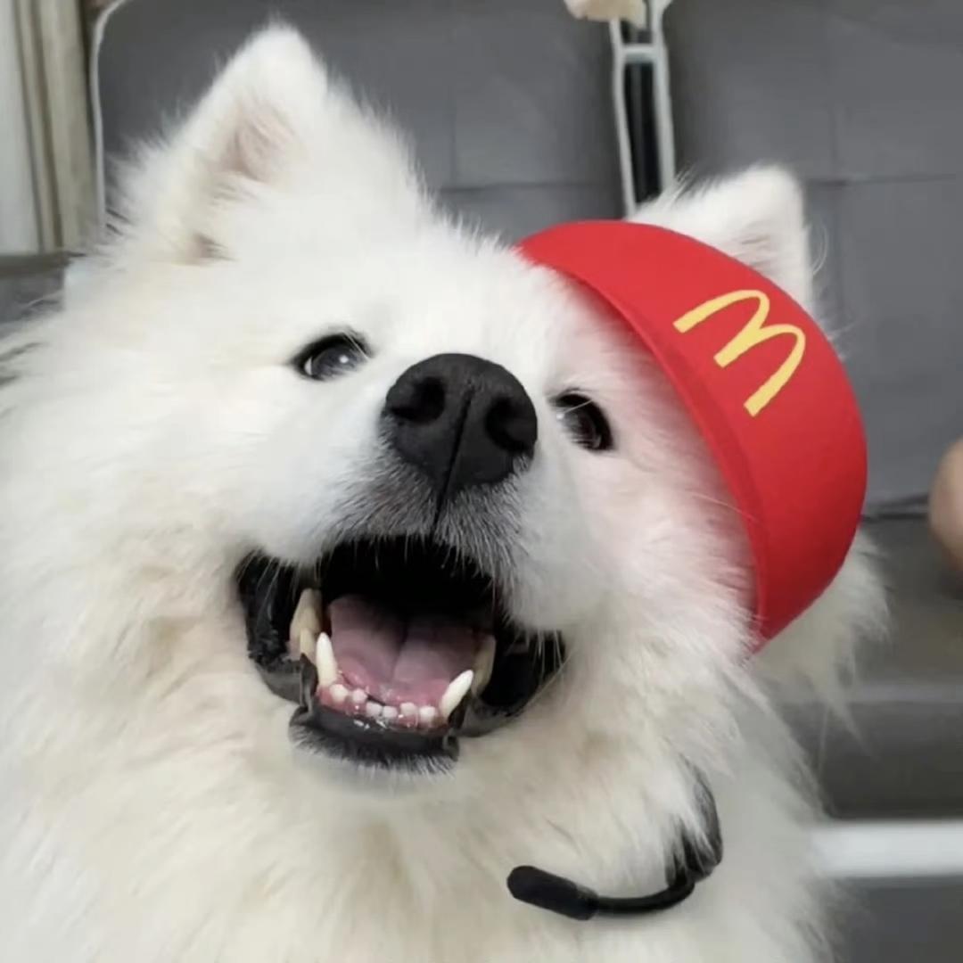 暮子