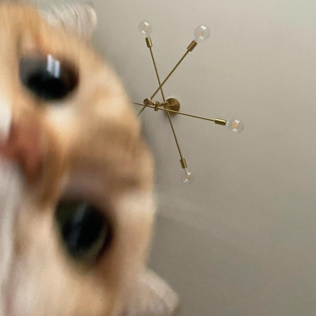 DKJSTT