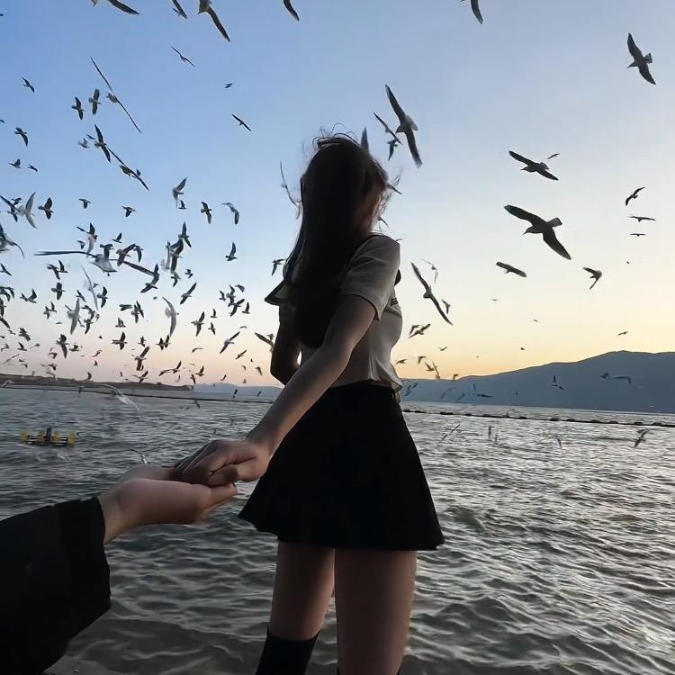 鸿云鱼水