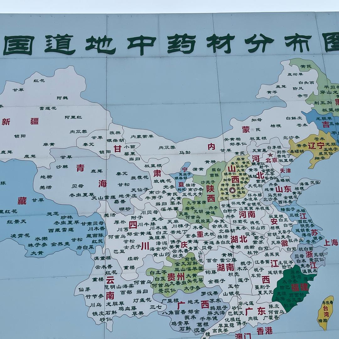 杜鹃花
