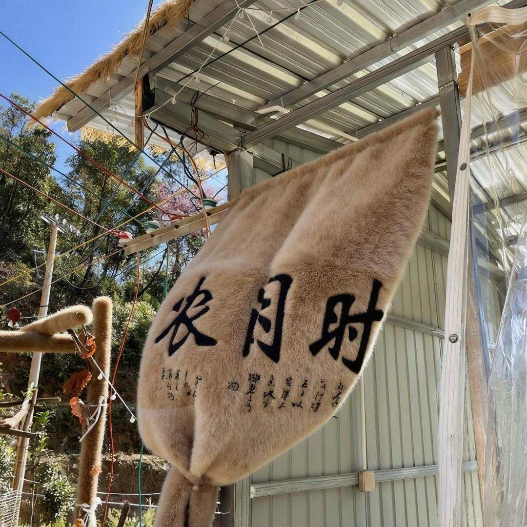 农闲时农庄