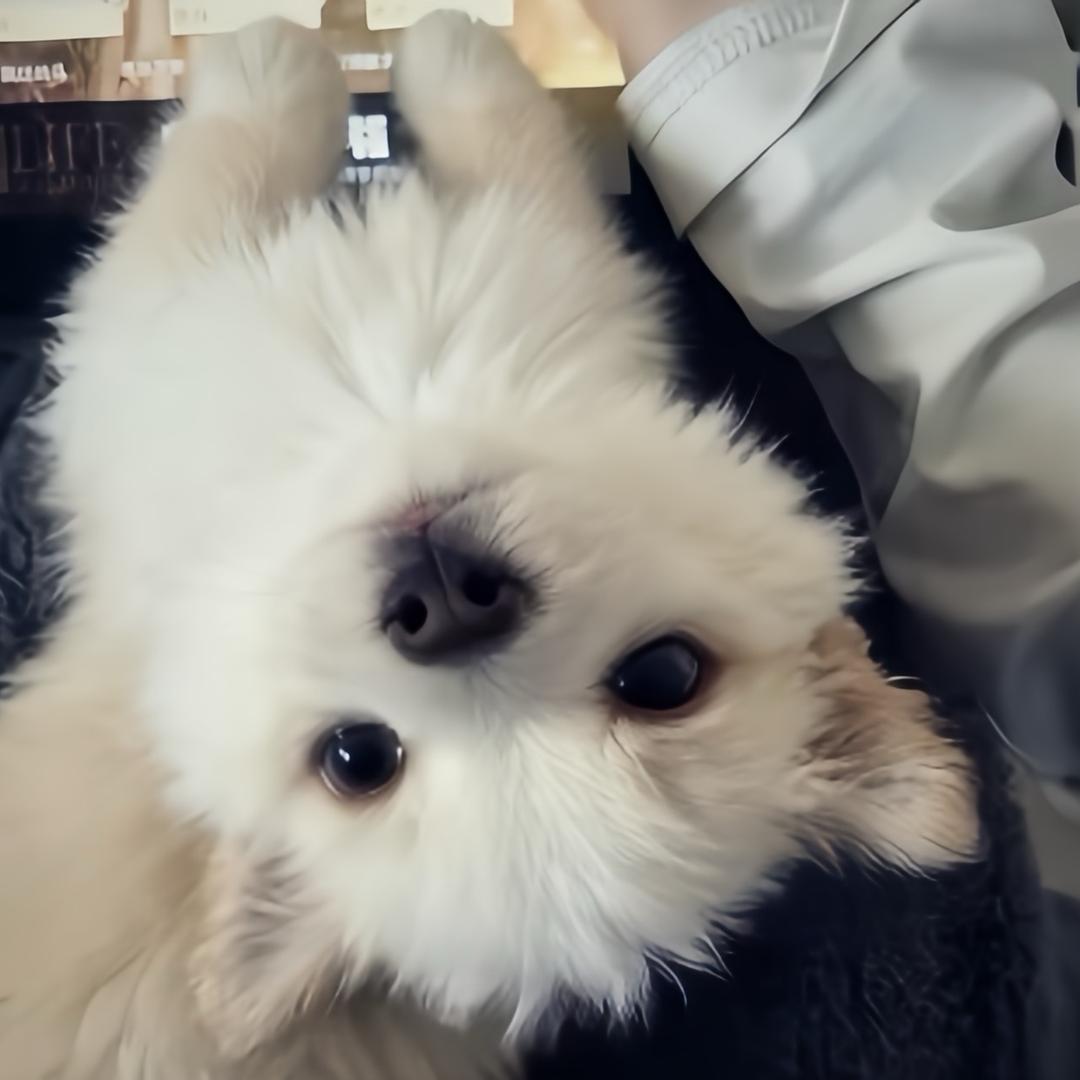 讲路遥