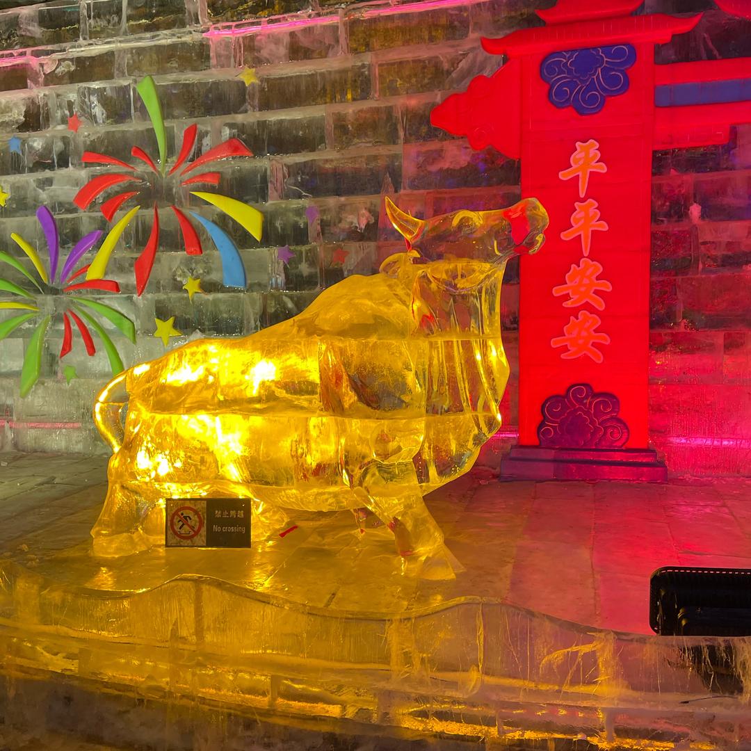 志哥