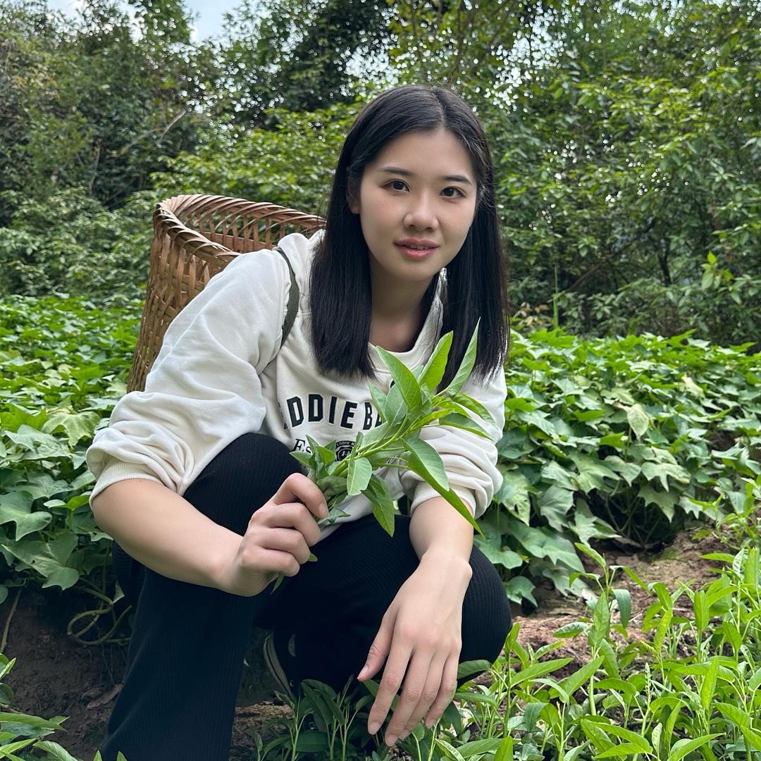 广安三熊妹