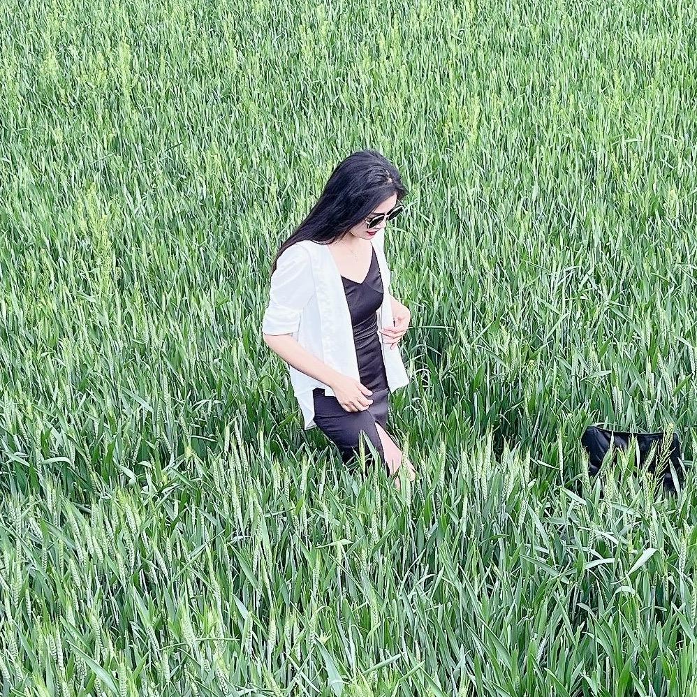 宜阳中洁卫浴（王可）