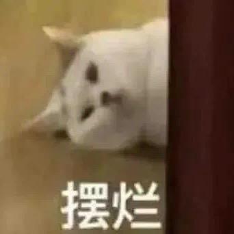 小屁小屁走向胜利