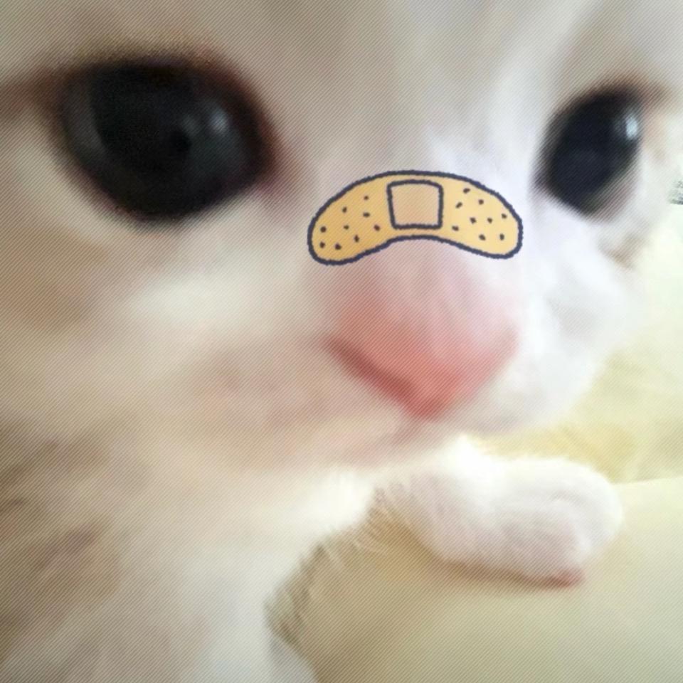 小小小小七
