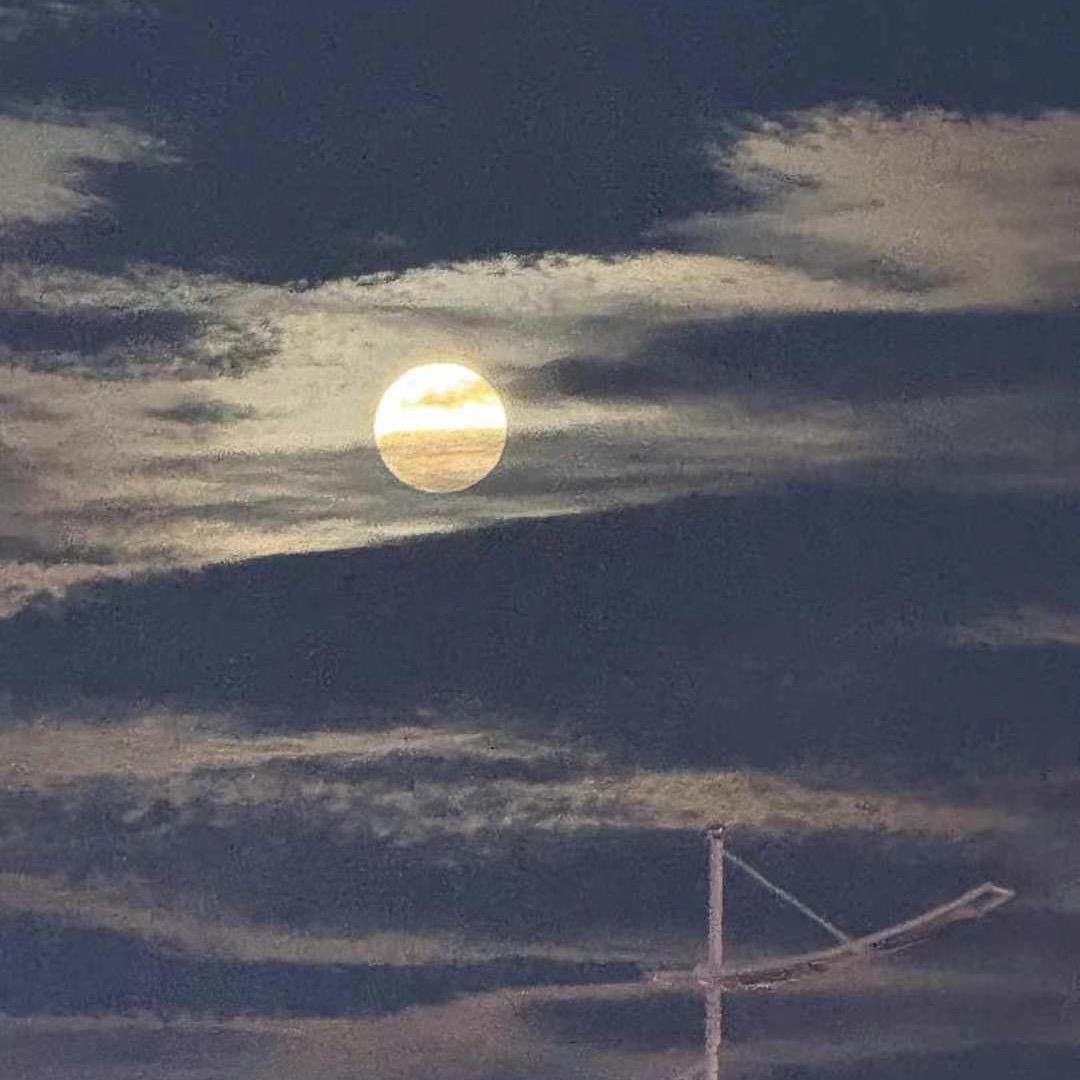 网恋被骗五百万