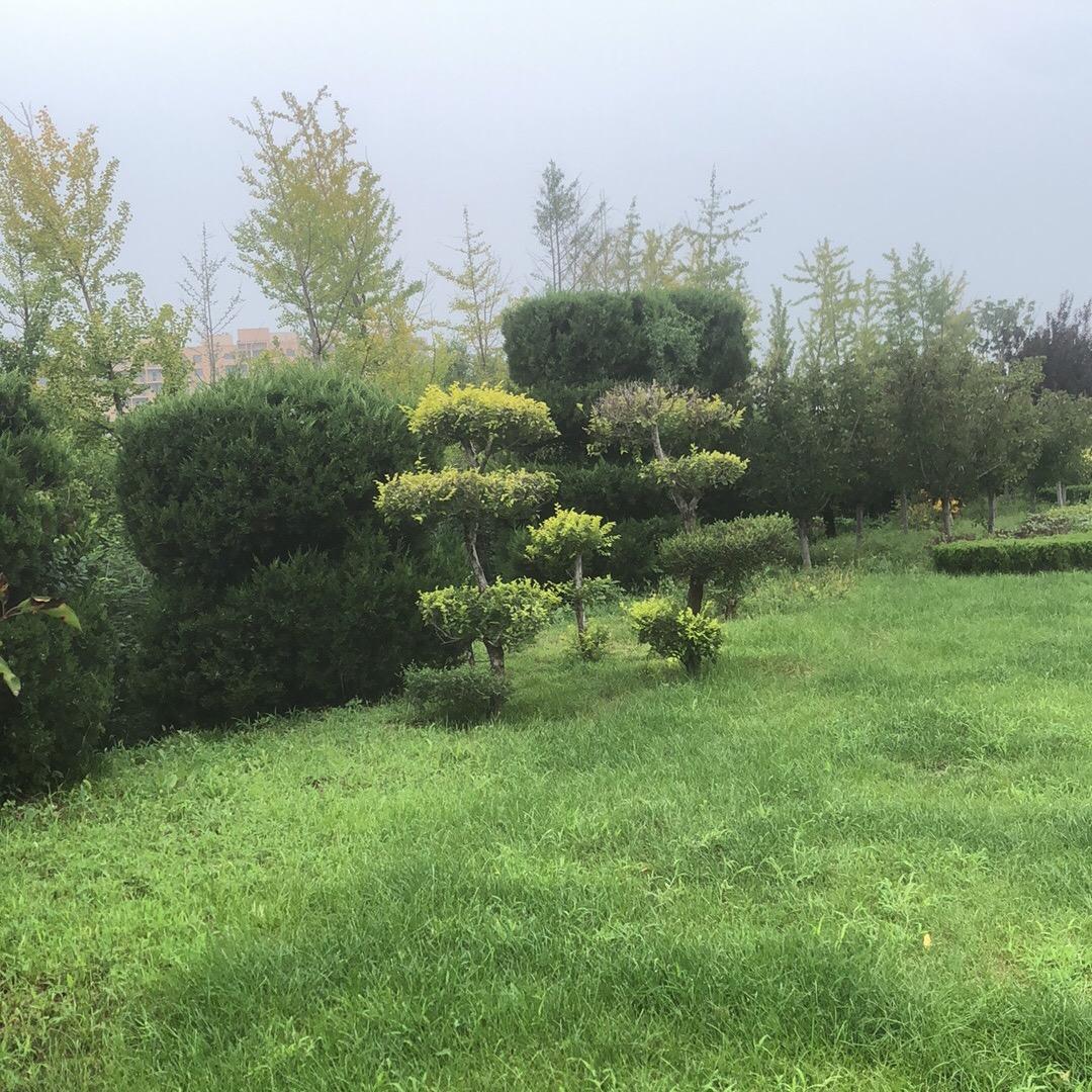 🍀余生随心