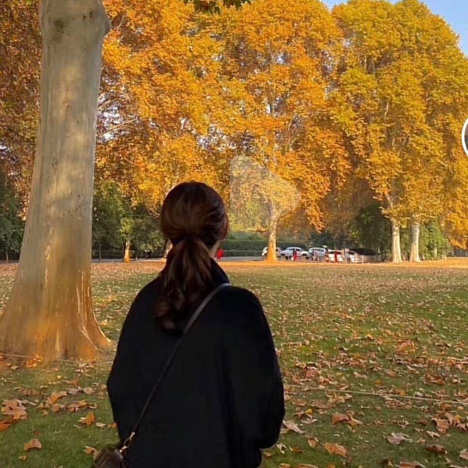 曼曼看房咨询工作室