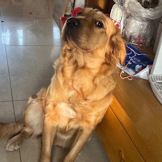 钱多多是小鸡毛