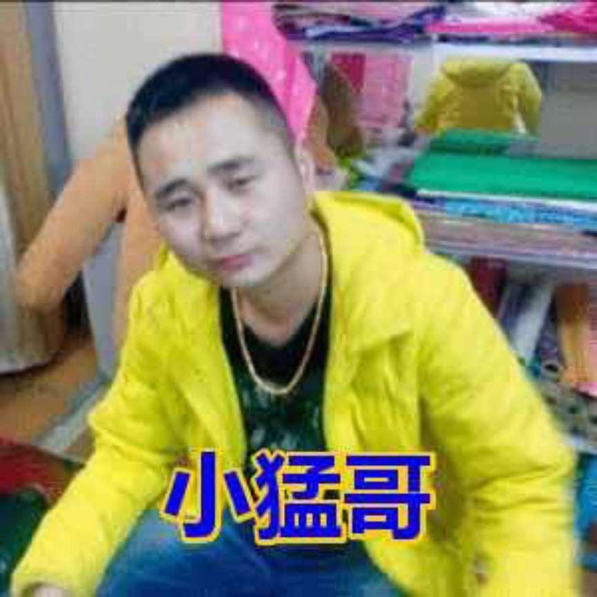 小猛哥