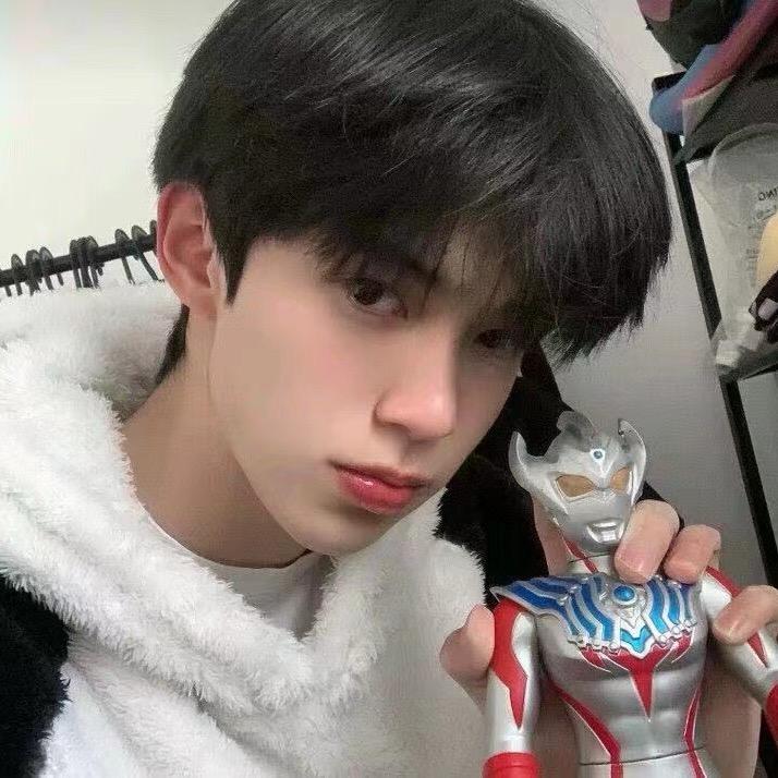 小鱼🐬