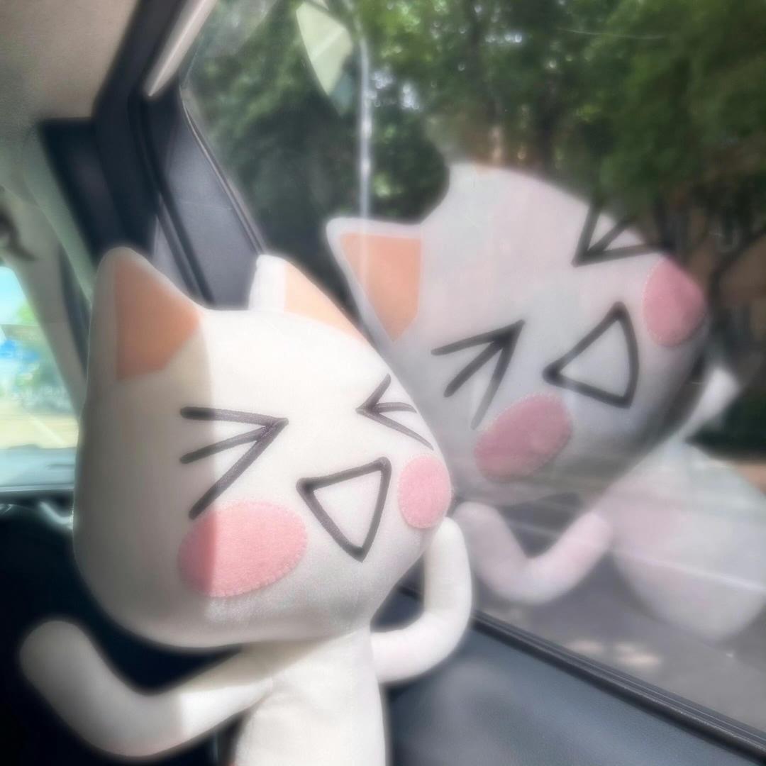 红豆薏米舟（考试周