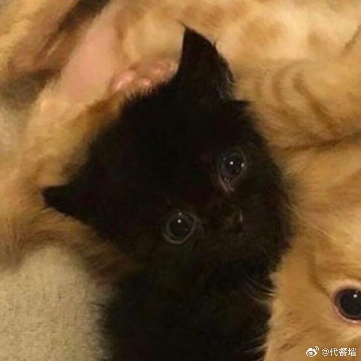 想去海边(。◝‿◜。)