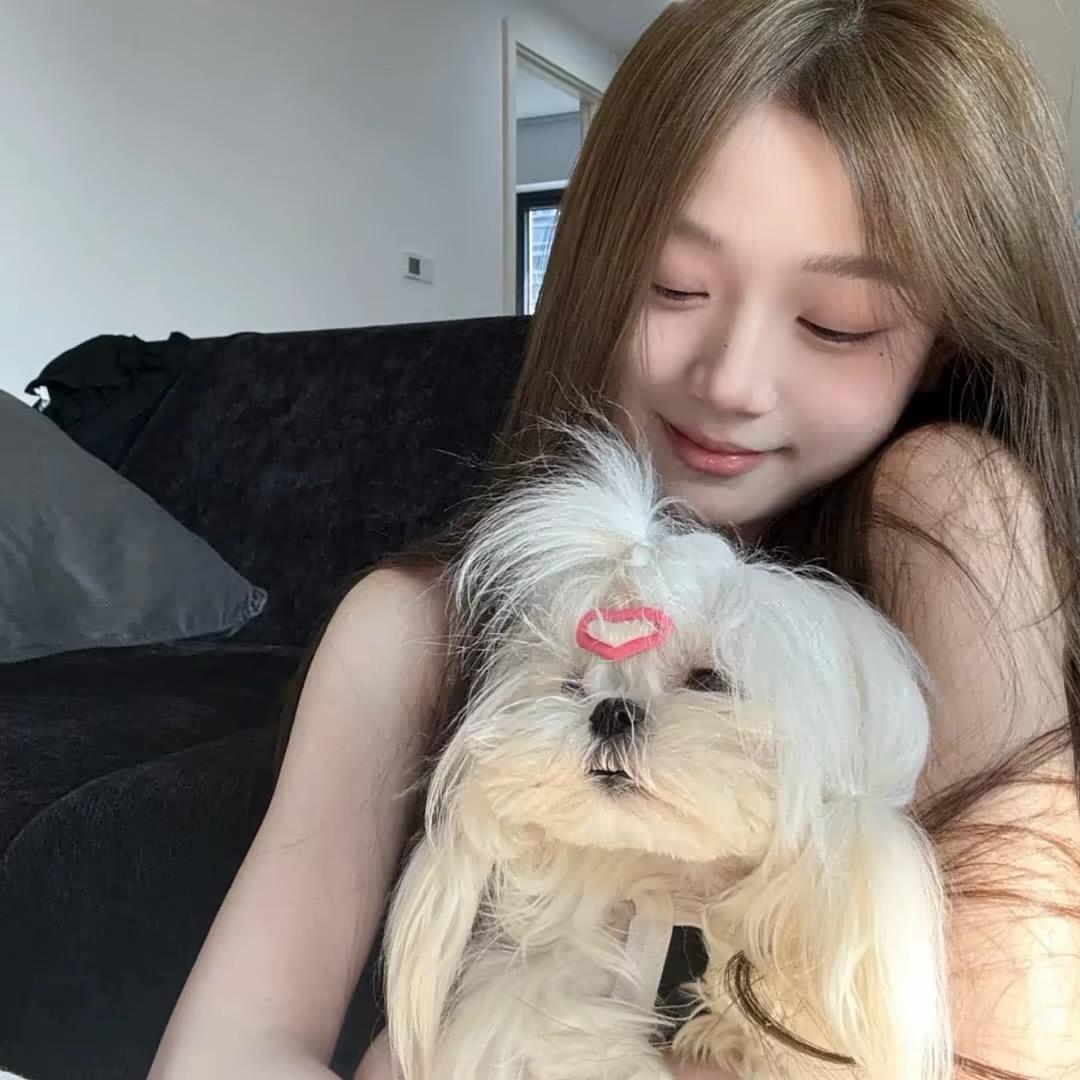 小佳佳