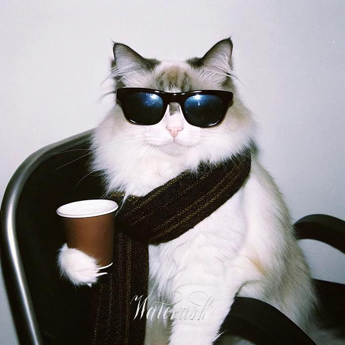 被骗去5p发现是王者荣耀