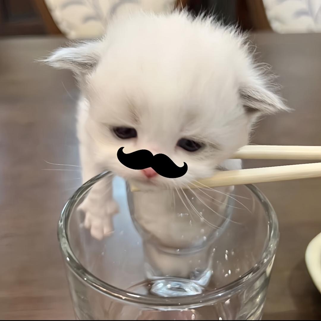 你行你也叫小今