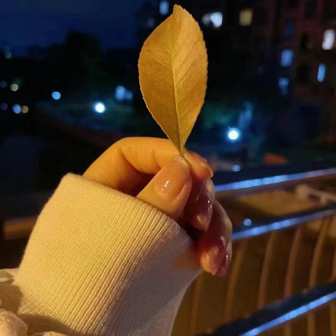 💞༊🌺周꧔ꦿ᭄💞