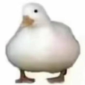 MMMMMMMmM