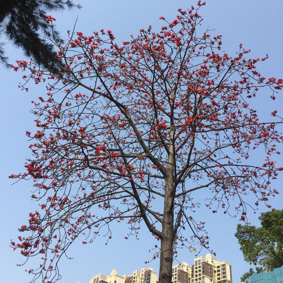 往前走
