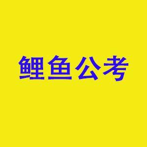 鲤鱼公考培训