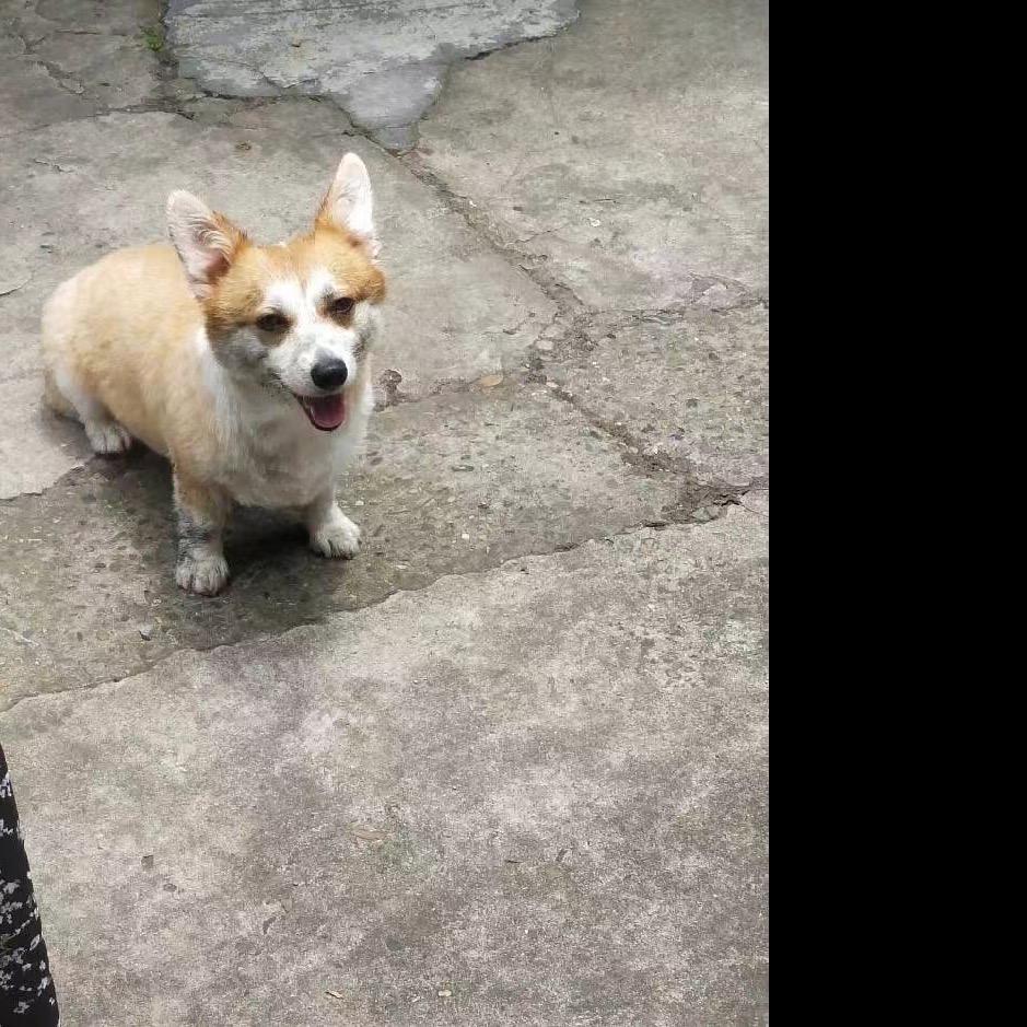 我是你爹