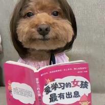 嘻 嘻