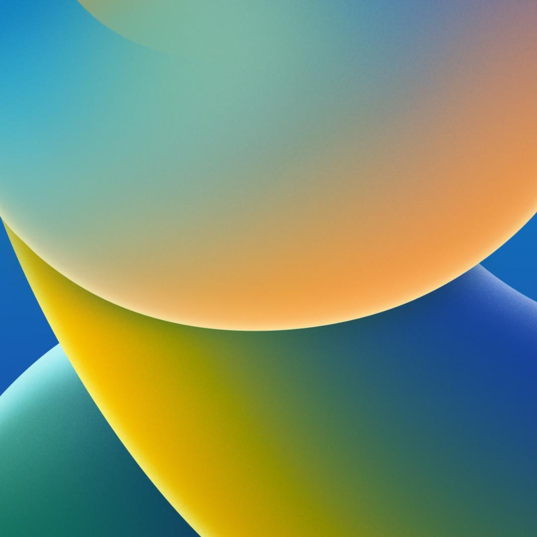 👌既然选择😀