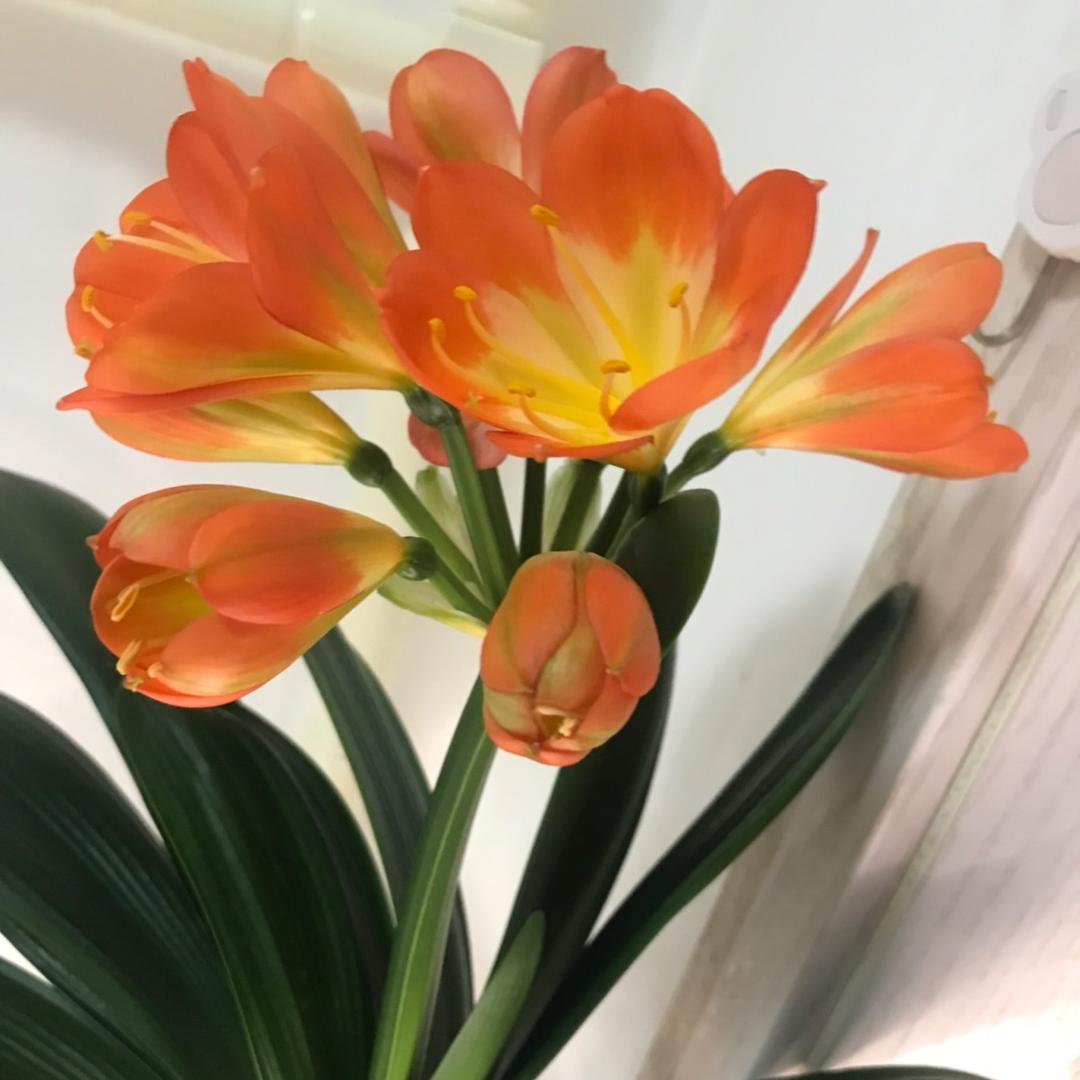 ☞钰🌹☜💃🇨🇳