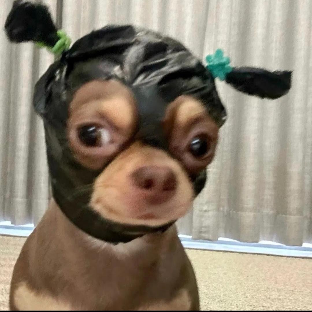 今天不是下雨天