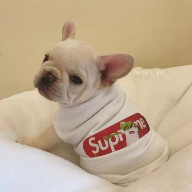 是依诺呀！