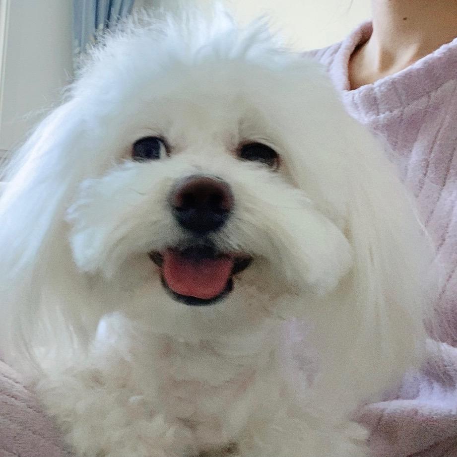 糖糖👩元宝👦乖乖🐶