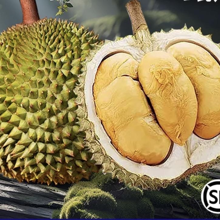 益贡蔬菜制品旗舰店