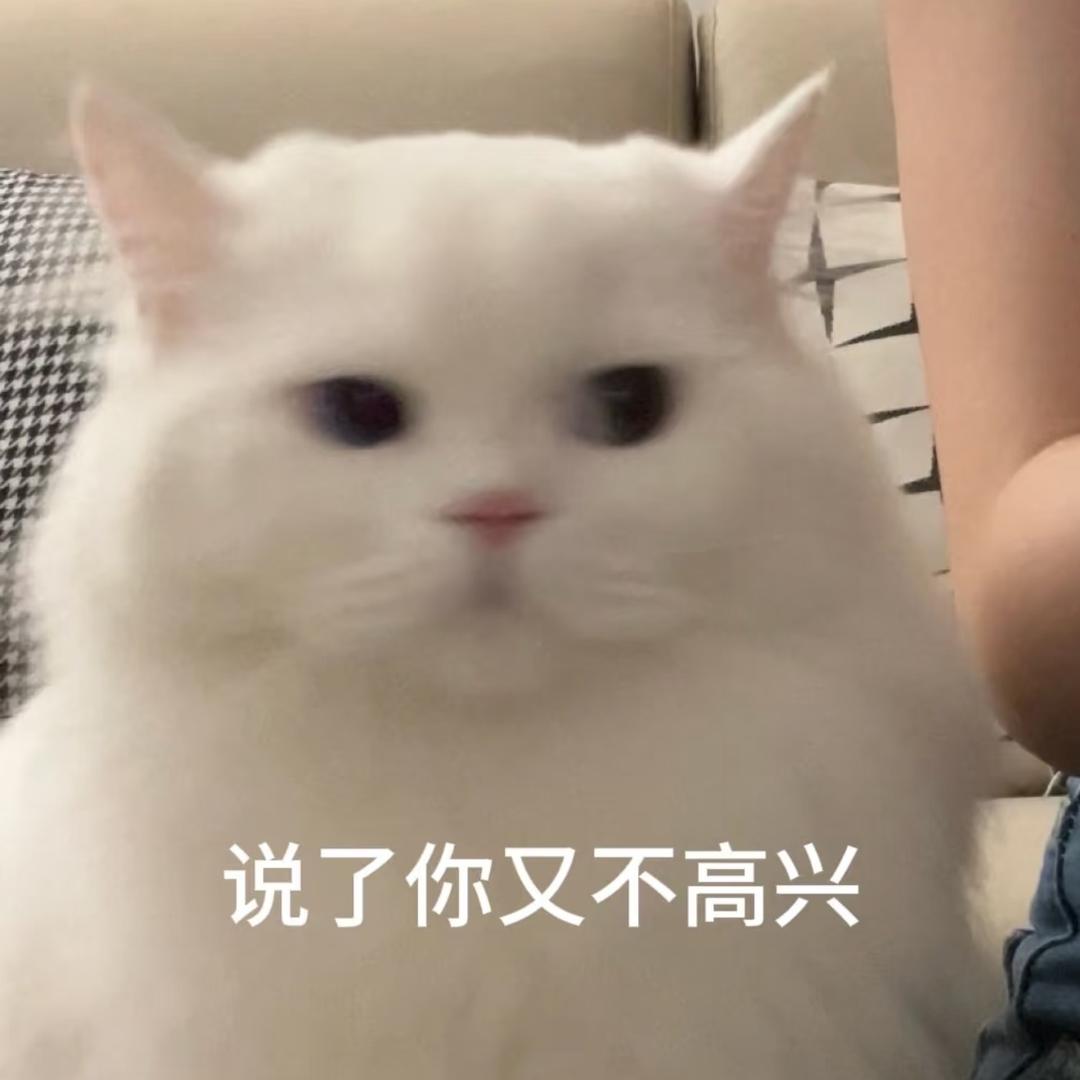 小鱼姐姐很酷哟