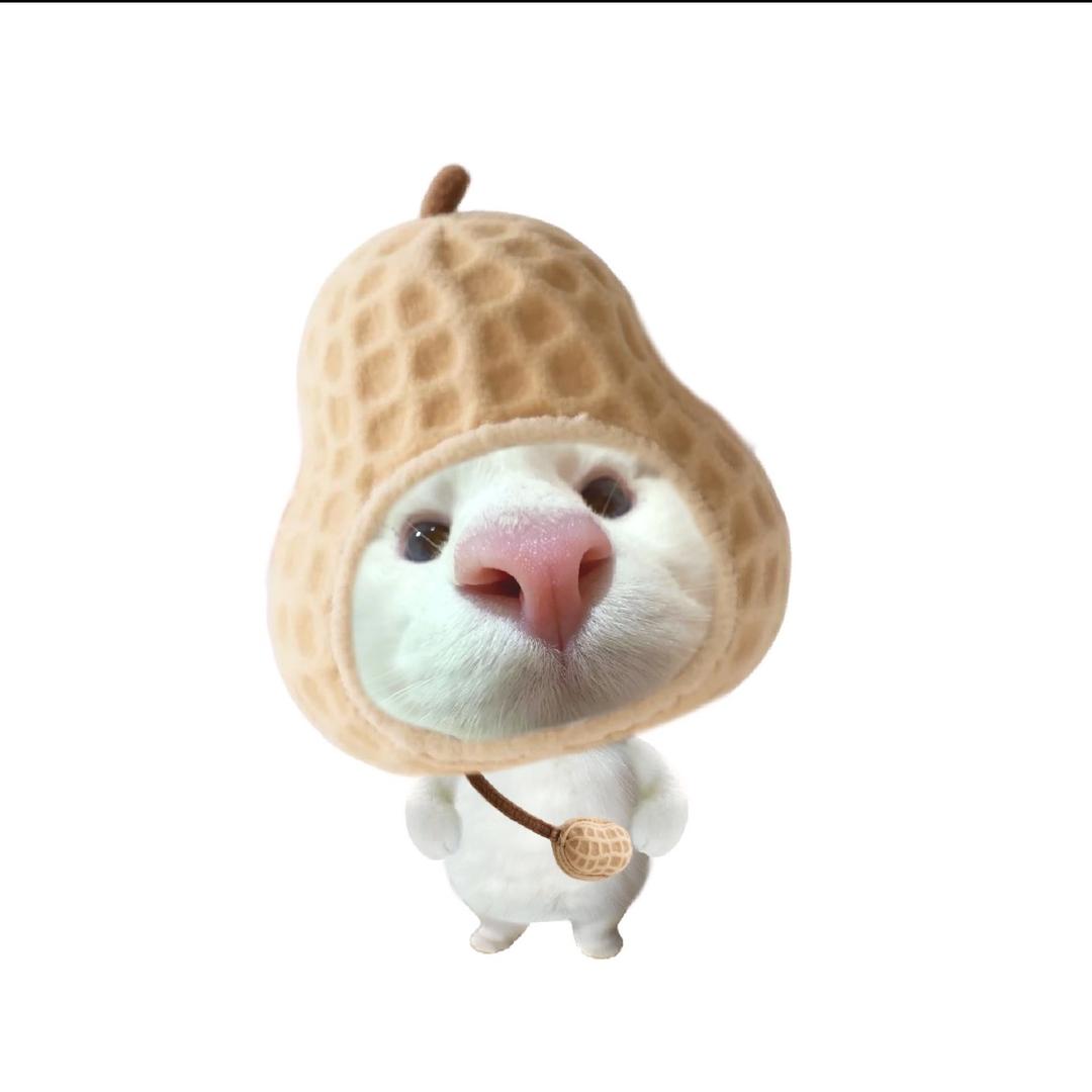 ⁰泡果奶ₐ