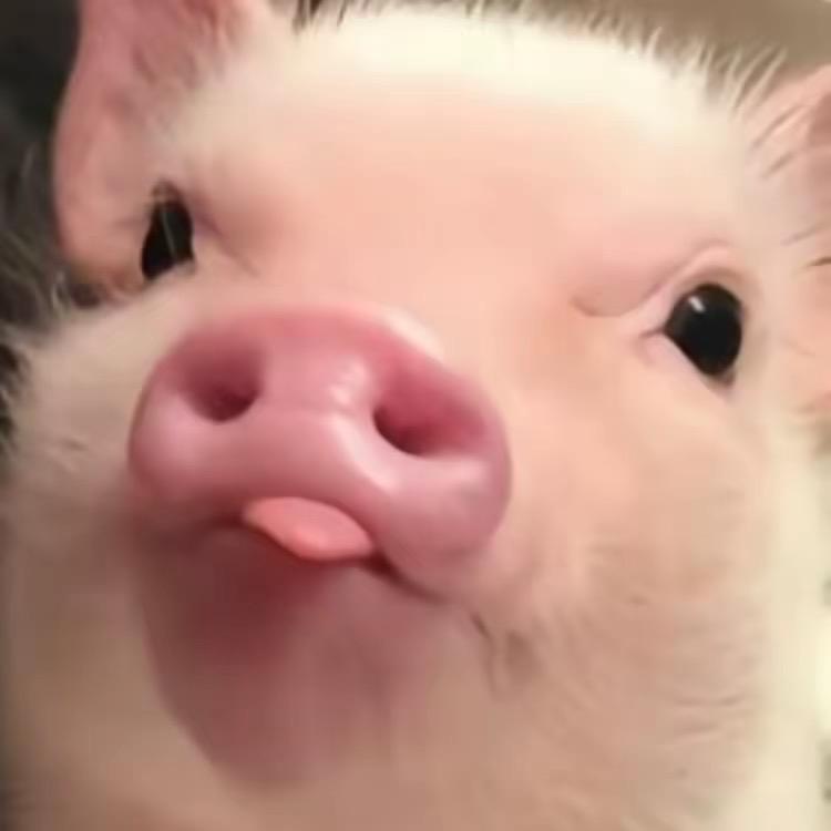 小男友