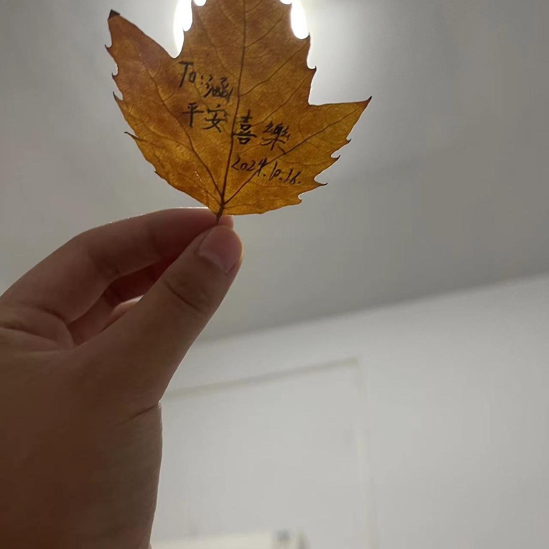 是墨墨呀（有关必回）