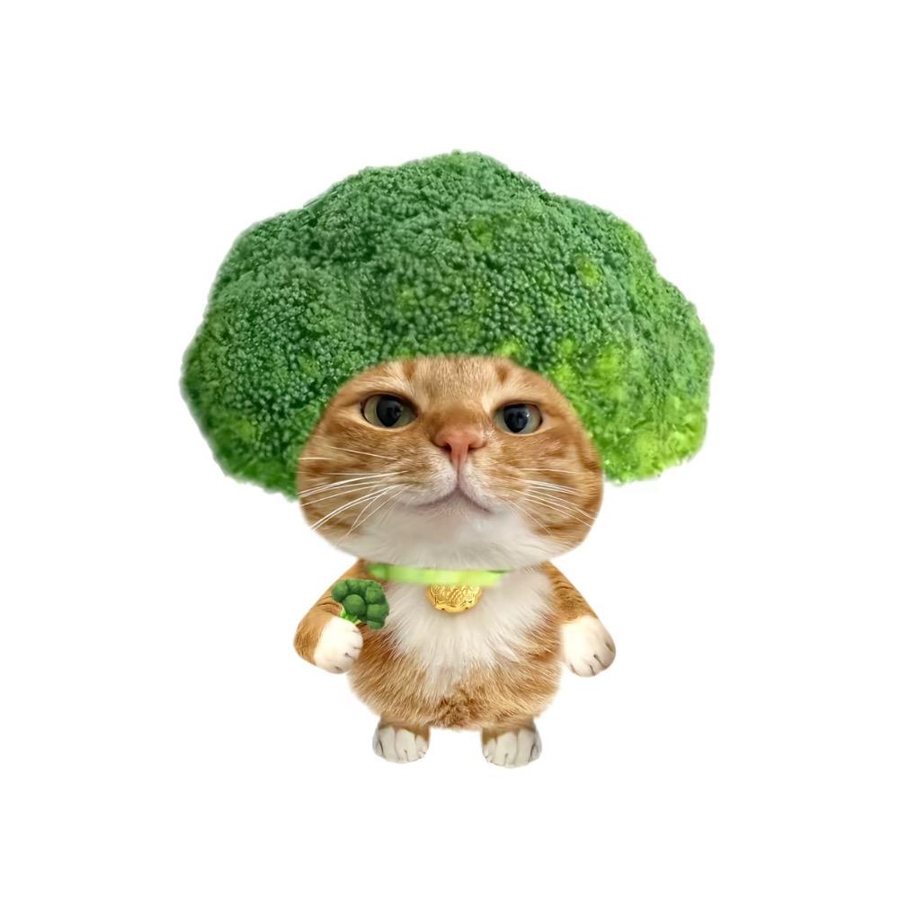 🦔.