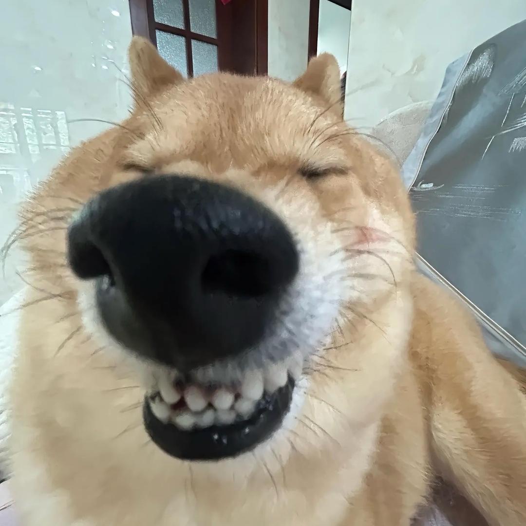 多音字