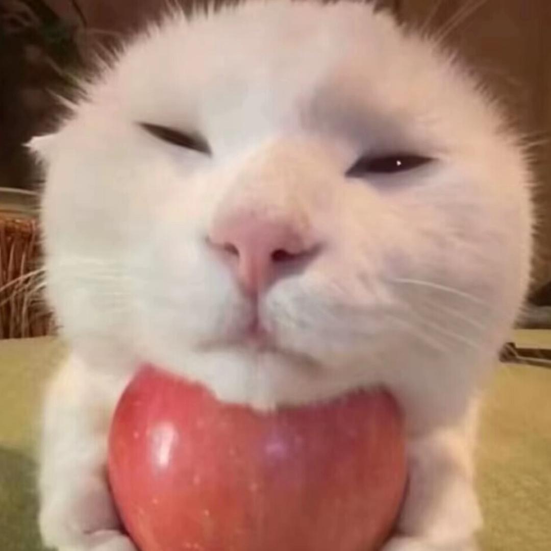 y.