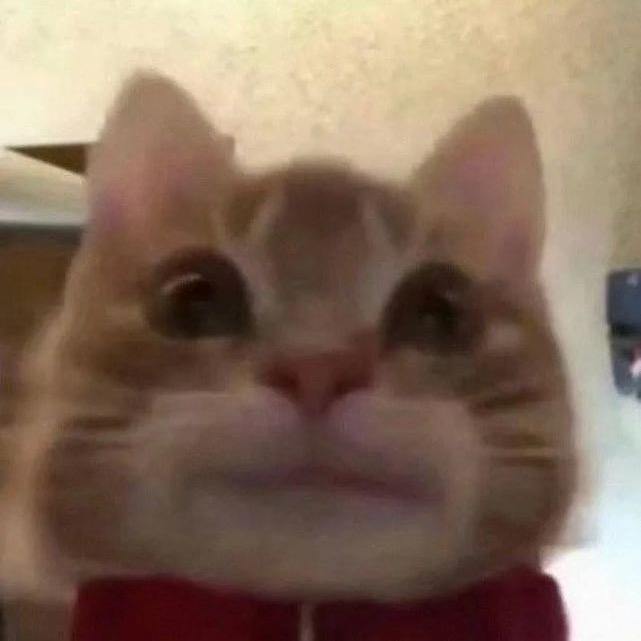 柠檬