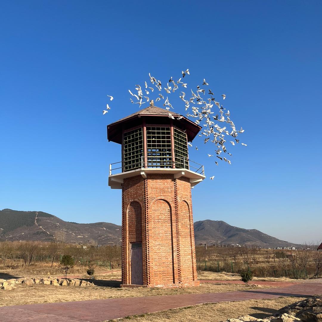 💦💦💦顺风孙水🐐🐐🐐🌾🌾