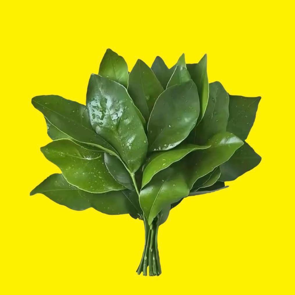 醫