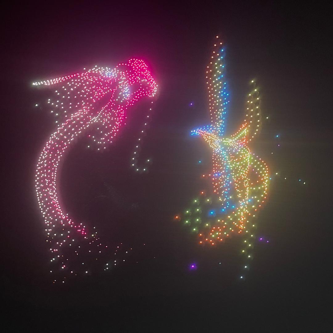 随心所欲            🕷
