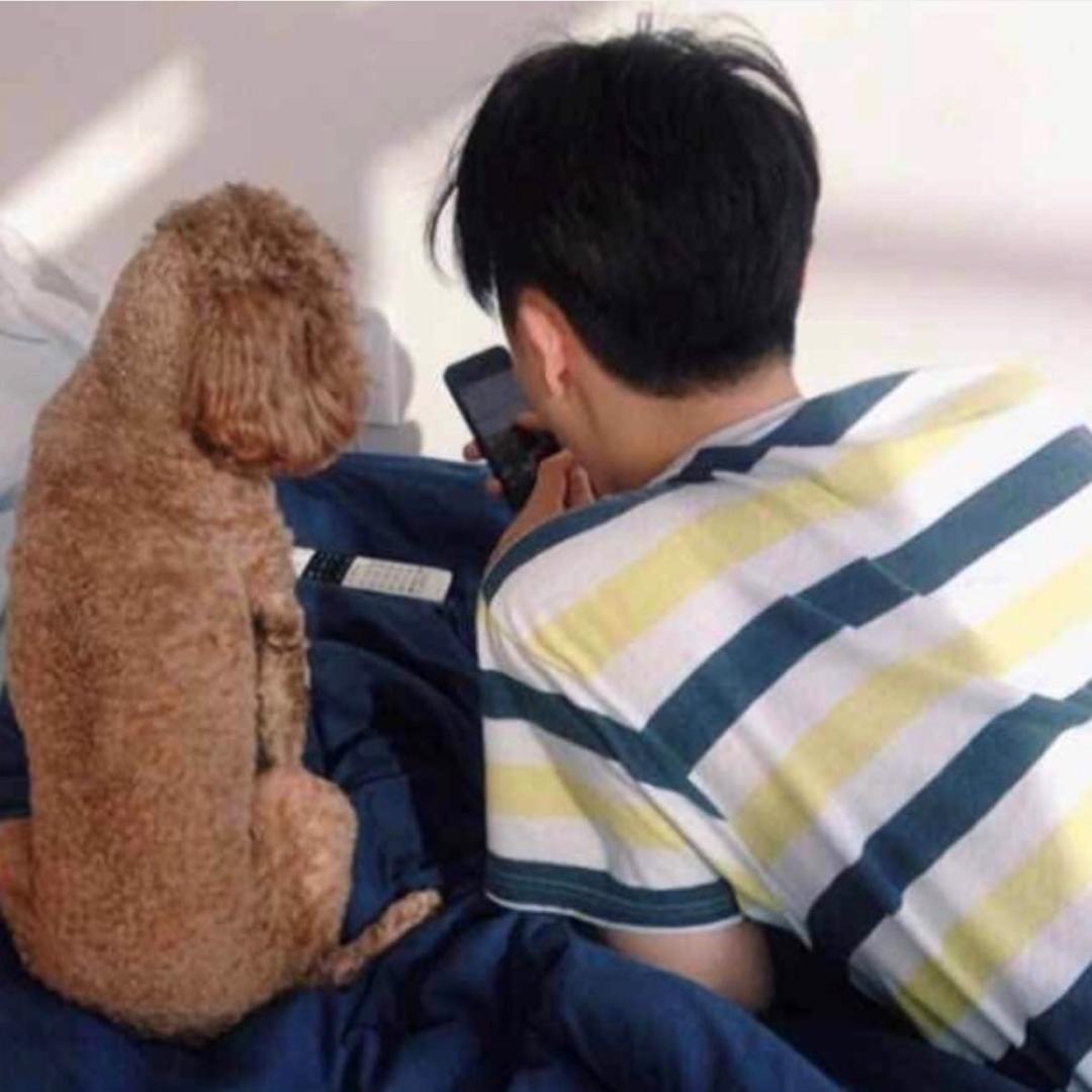 🌈摄影阿强📸