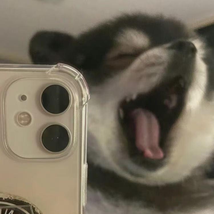 我爱吃饭(˶‾᷄ ⁻̫ ‾᷅˵)