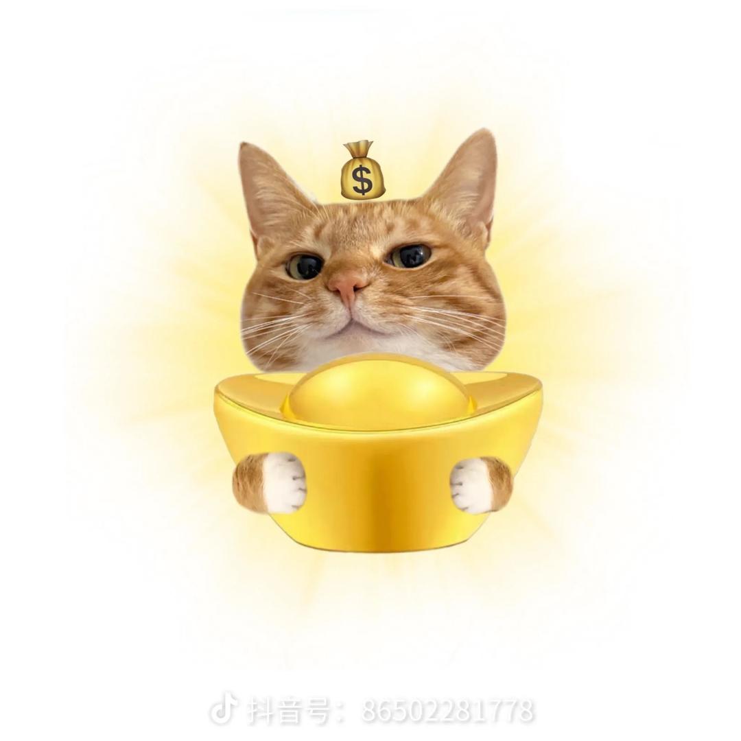 别惹我我会发疯