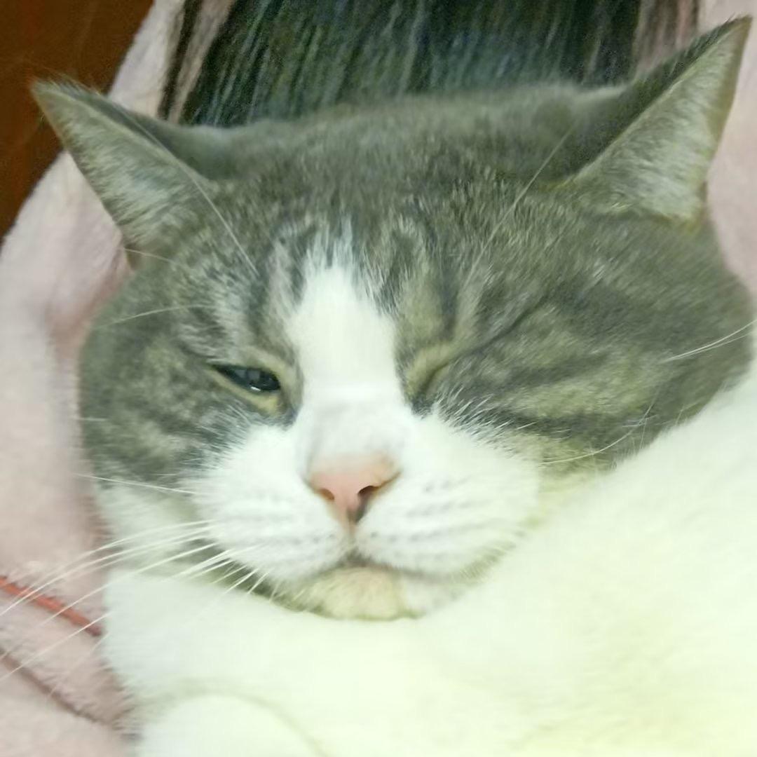 来了来了来了来了