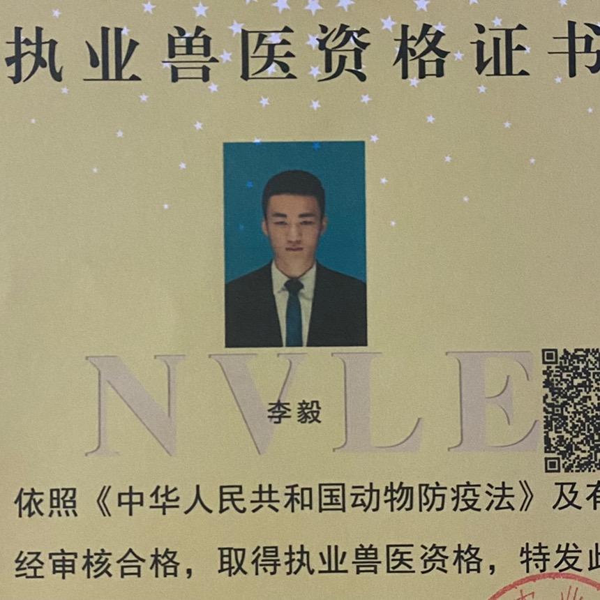祥云兽医李毅